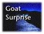 Part 5 - Goat Surprise